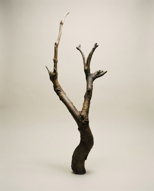 On Rooting