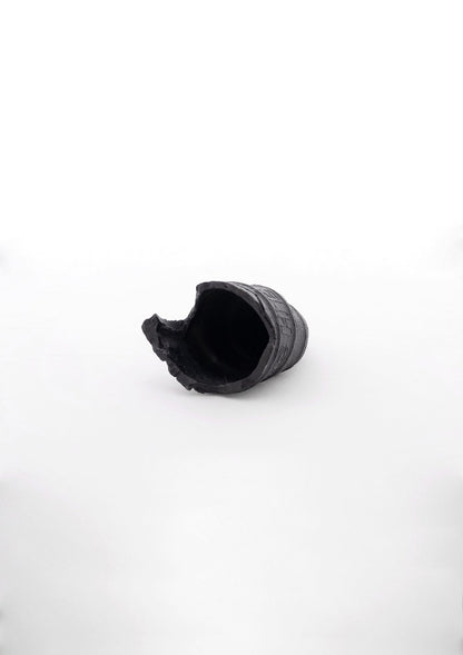 Fossil (Michelin)