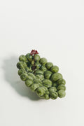 COLLECTA VERDE